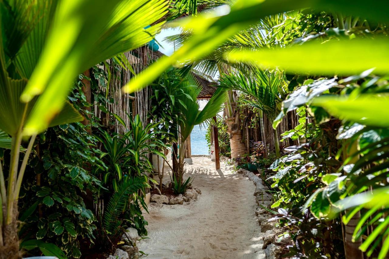Sunrise Bed & Breakfast Jambiani  Bagian luar foto